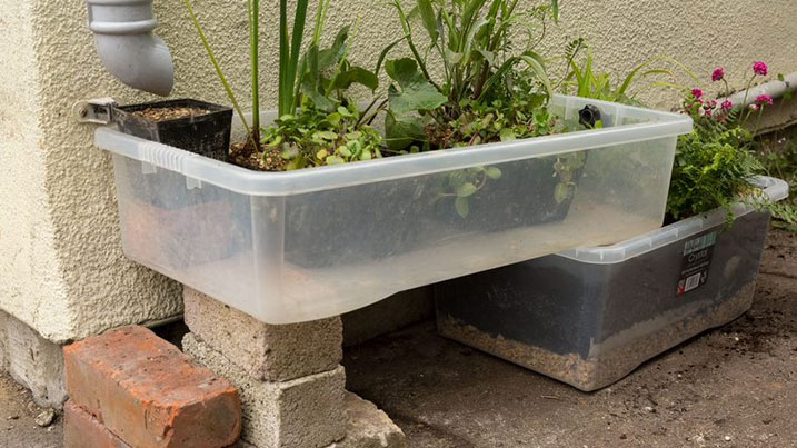 Step 5: build a mini drainpipe wetland