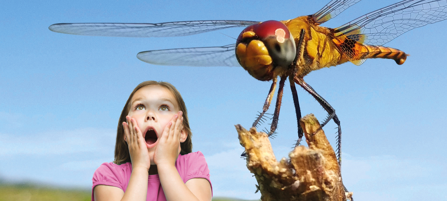Giant Bionic Bugs at WWT Martin Mere this summer holiday