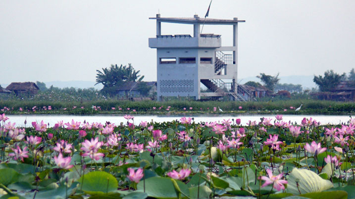 World wetlands day