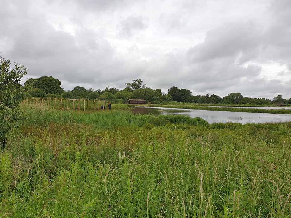 Curlew release pen and LRP's.