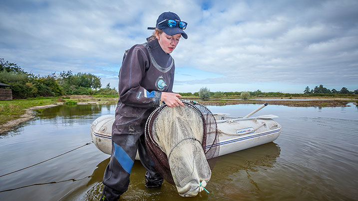 Why the once common European eel is now Critically Endangered (and what