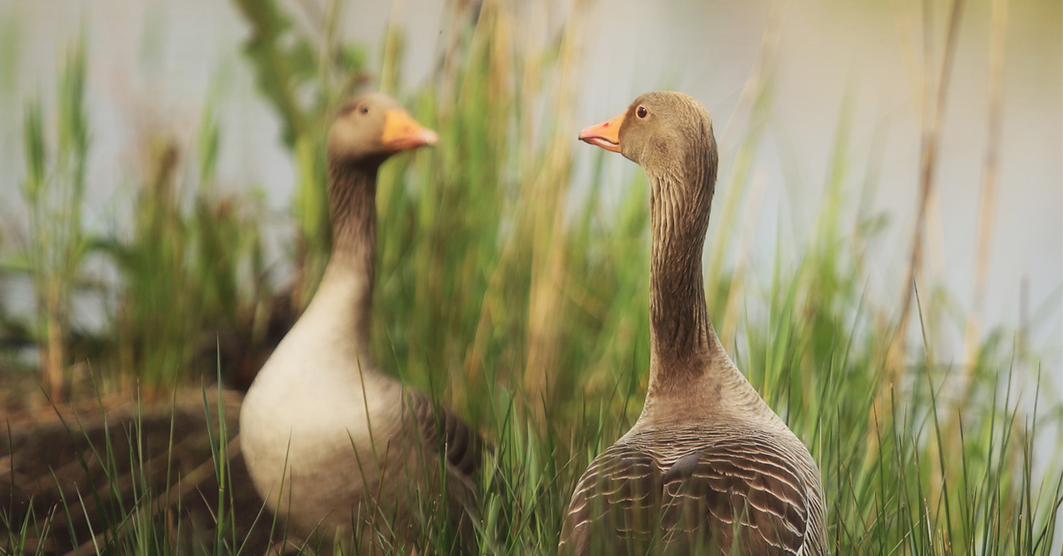 View: Photograph the Seasons Photography Course (Ladies Only)