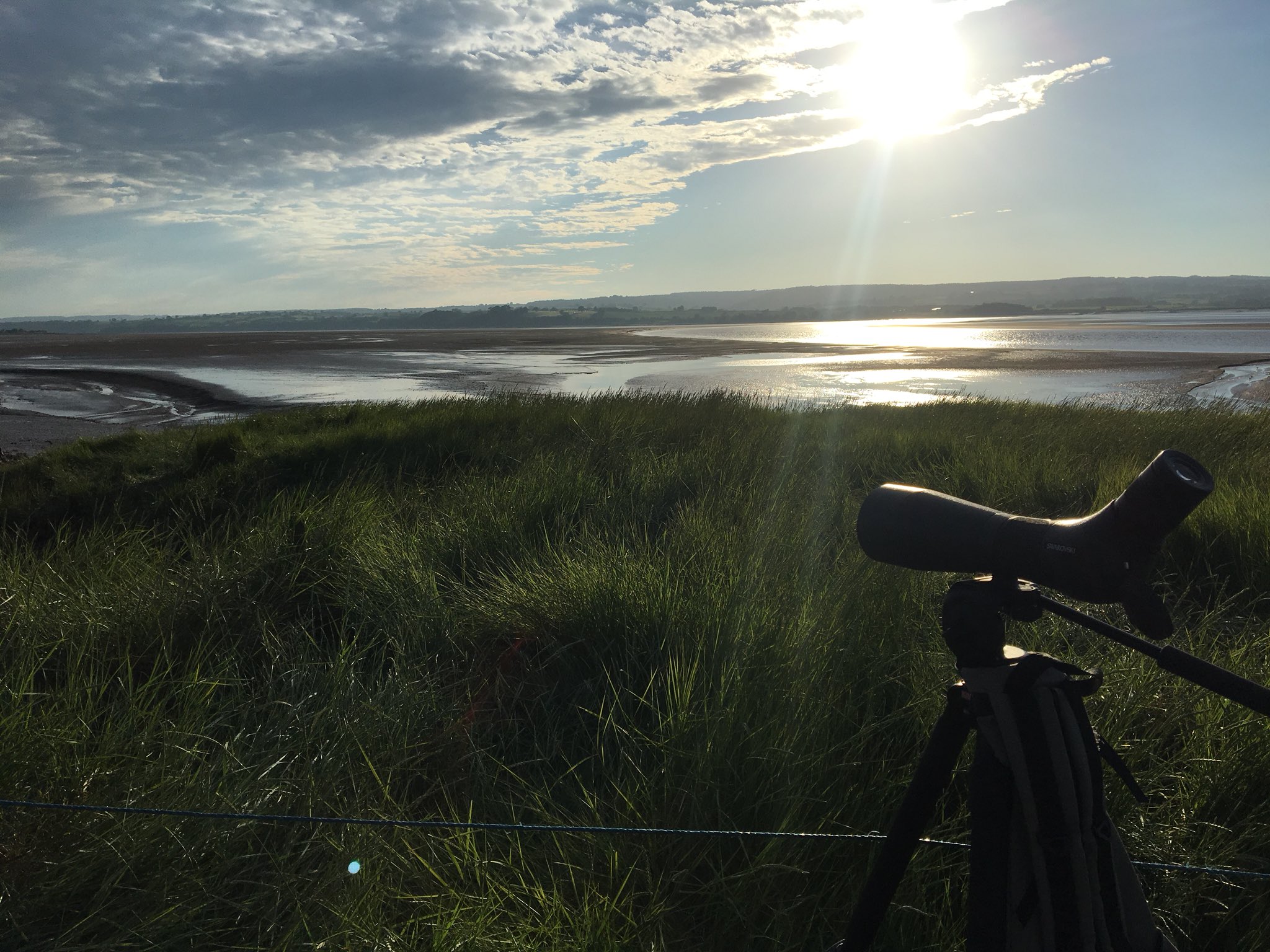 Evenings on the Estuary