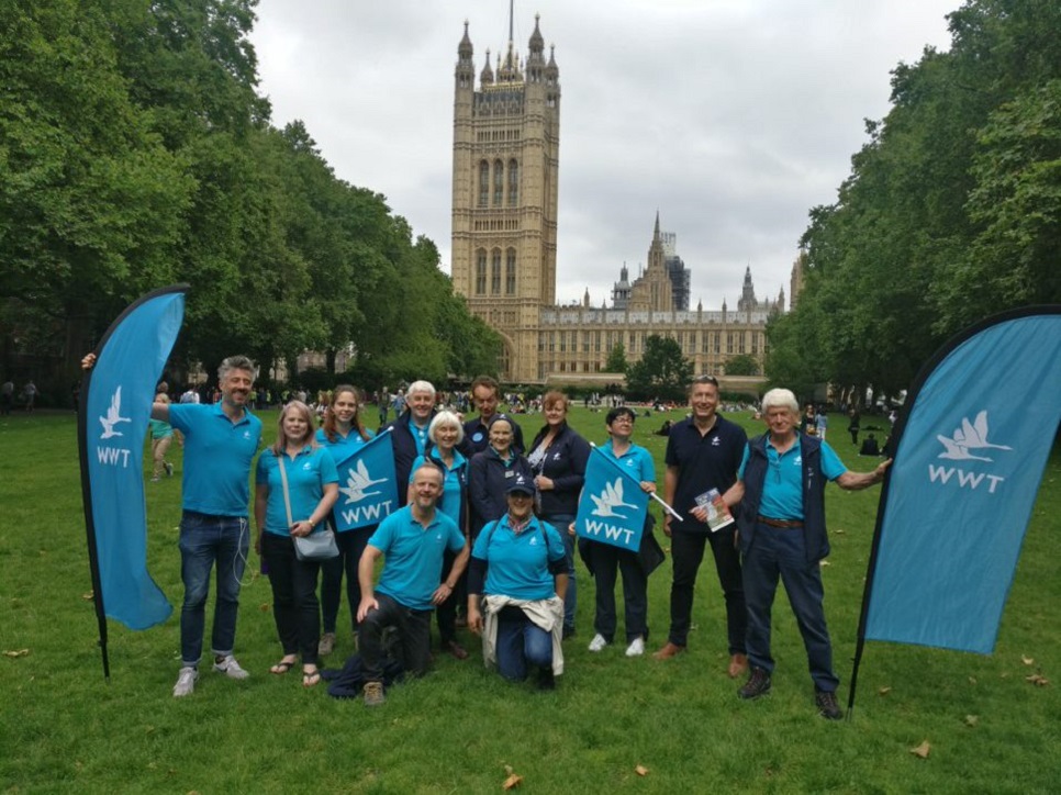 WWT descends on Westminster 