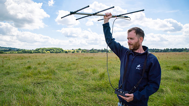 Surveying a hay meadow for presence of curlew