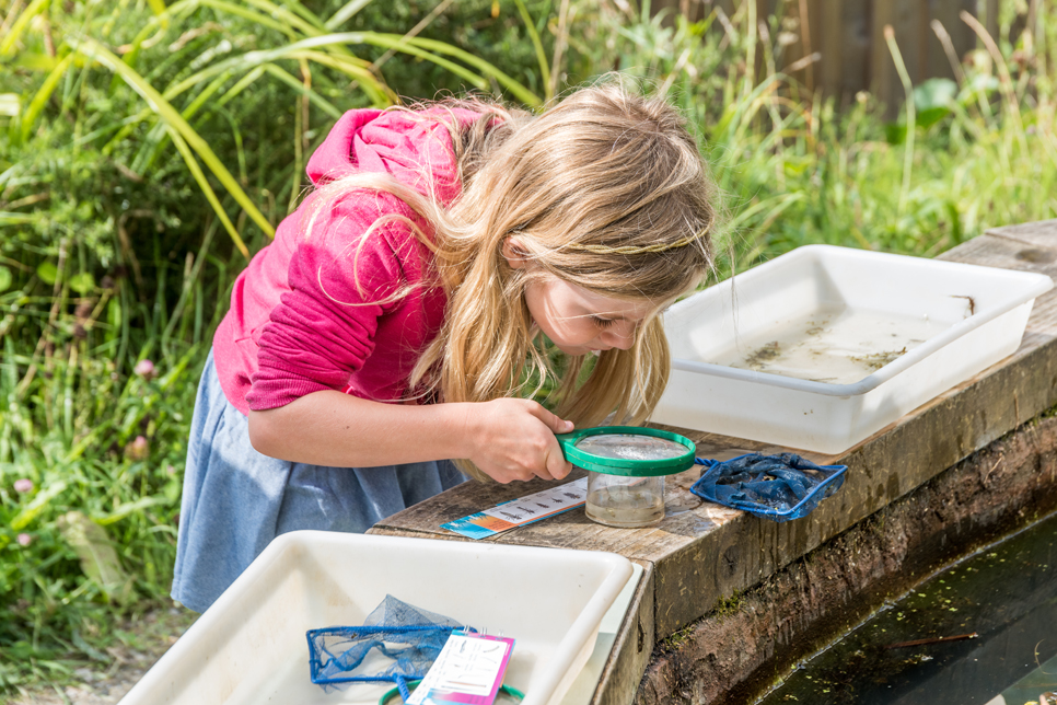 Pond dipping.jpg