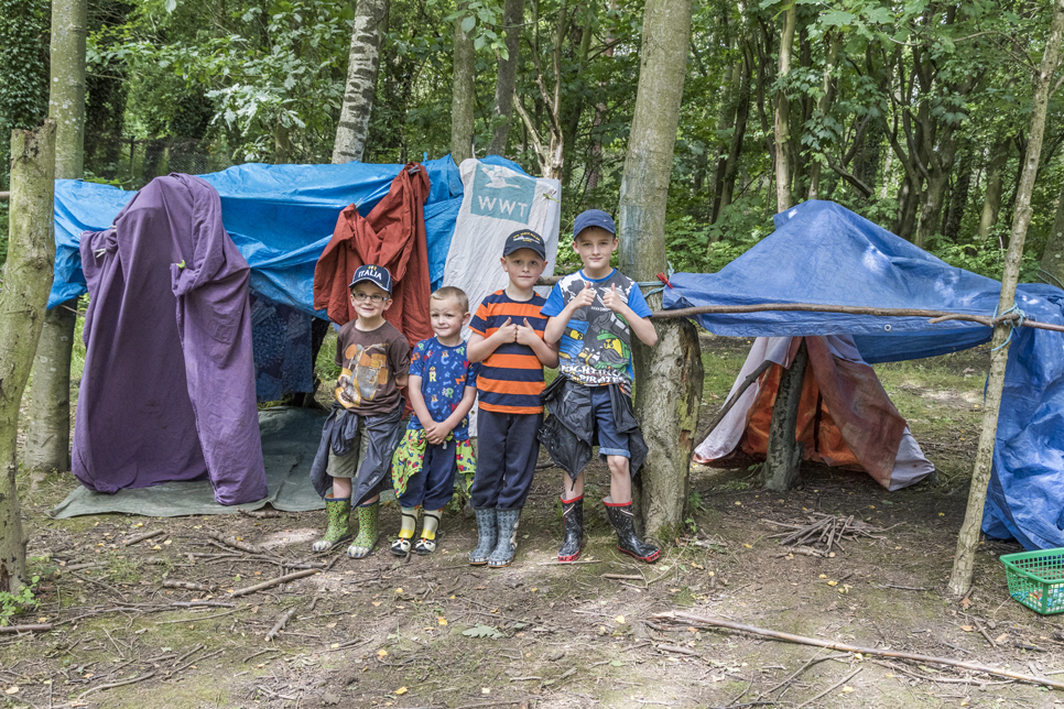 View: Den building
