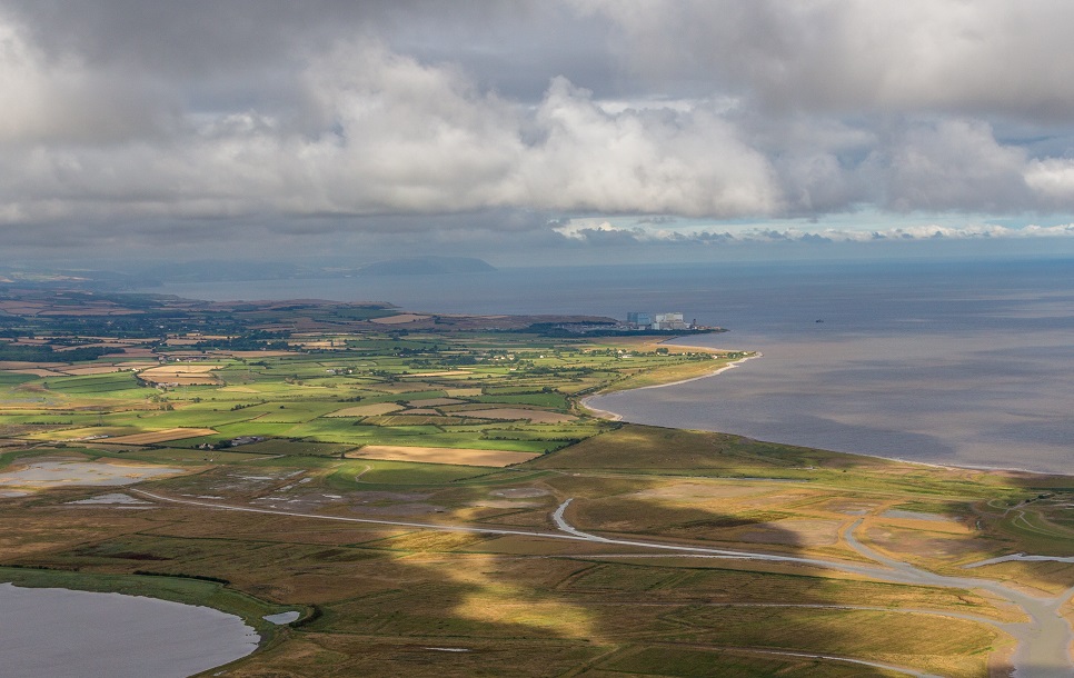 Steart marshes salt marsh