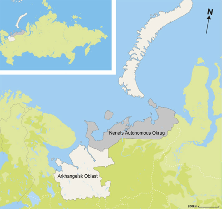 Bewick's swan hunting territory