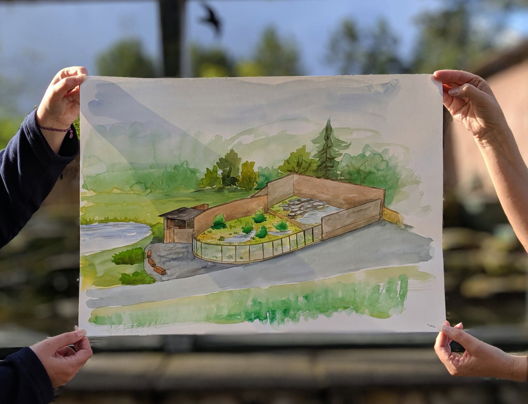 A new look for Martin Mere’s otter enclosure