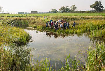 Restoring lost farmland ponds