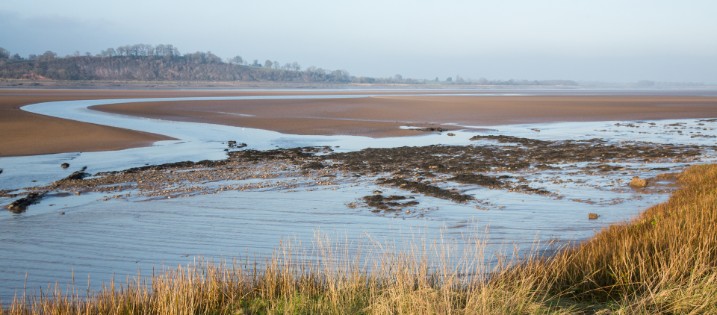 salt marsh in the Severn Estuary
