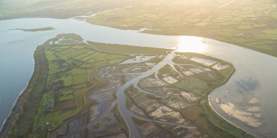 Fact file: Saltmarshes and mudflats