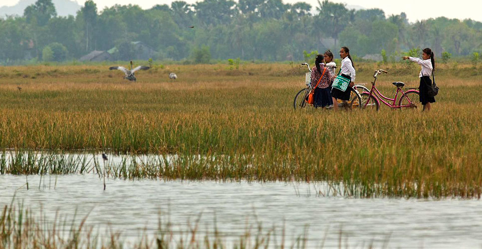Cambodia wetlands