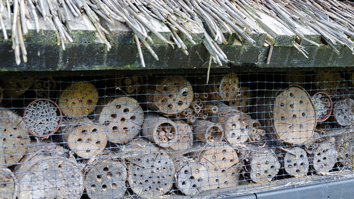 A bug hotel is an easy way to help hibernating insects