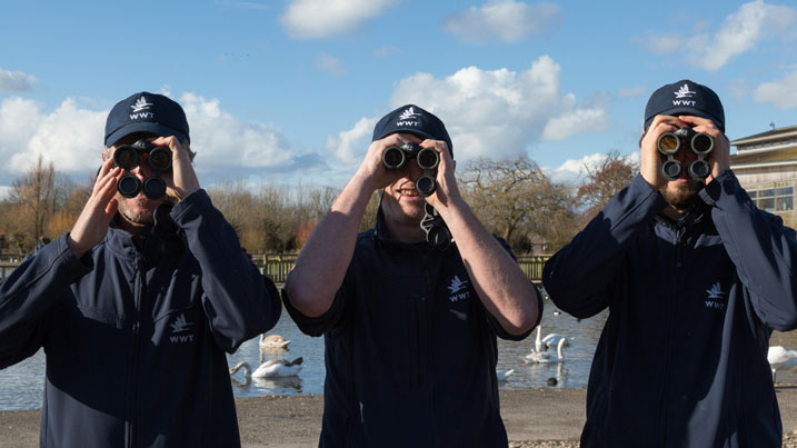 WWT staff looking through binoculars