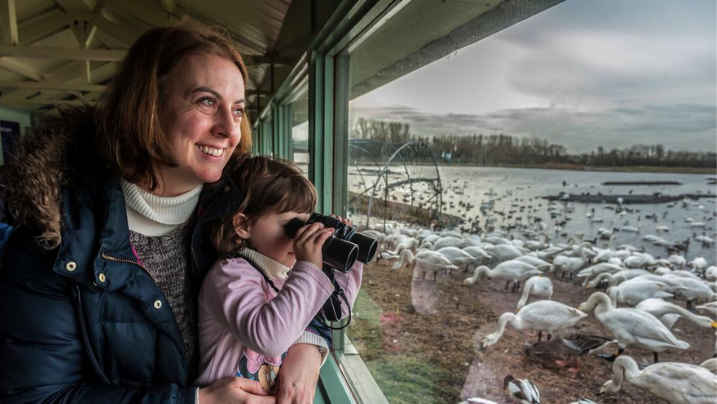 birdwatching for beginners family activities