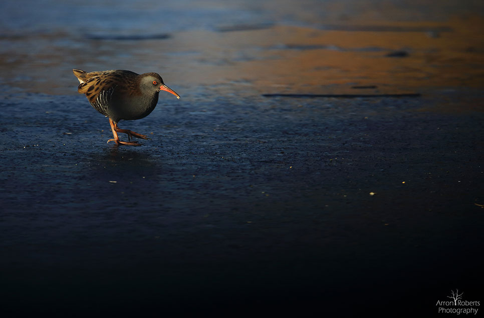 Winter photography tips: taking pictures when things get icy