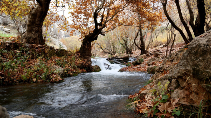 Healing power nature surviving cancer River