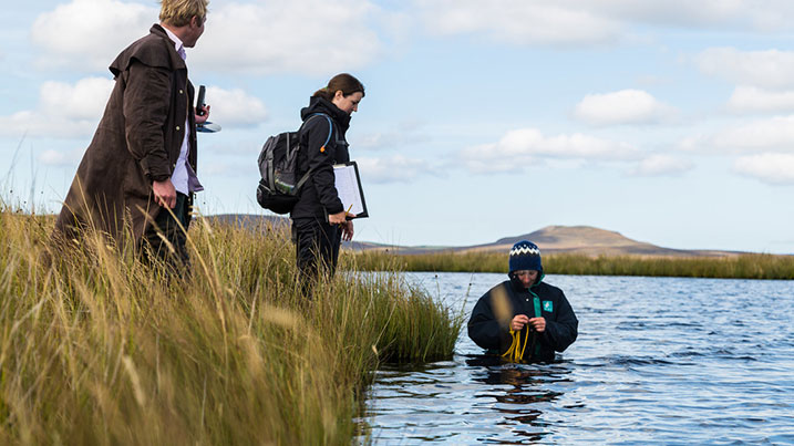 Common scoter research - WWT Science