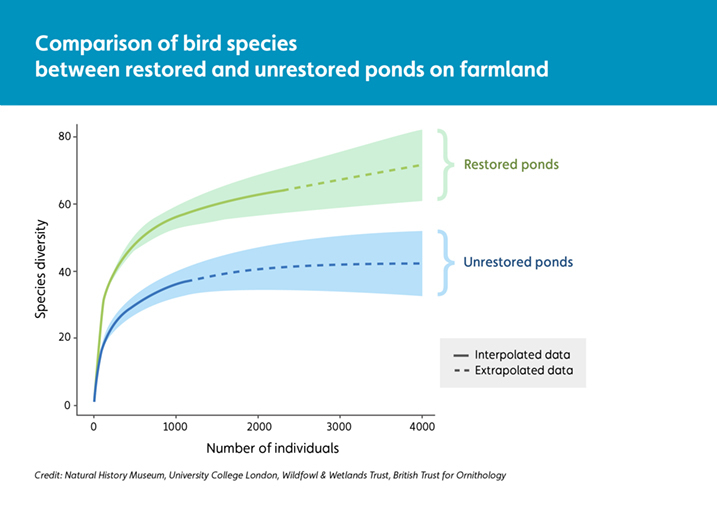 Comparison of bird species between restored and unrestored ponds on farmland