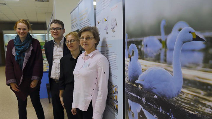 The swan champions travelling exhibition in Russia