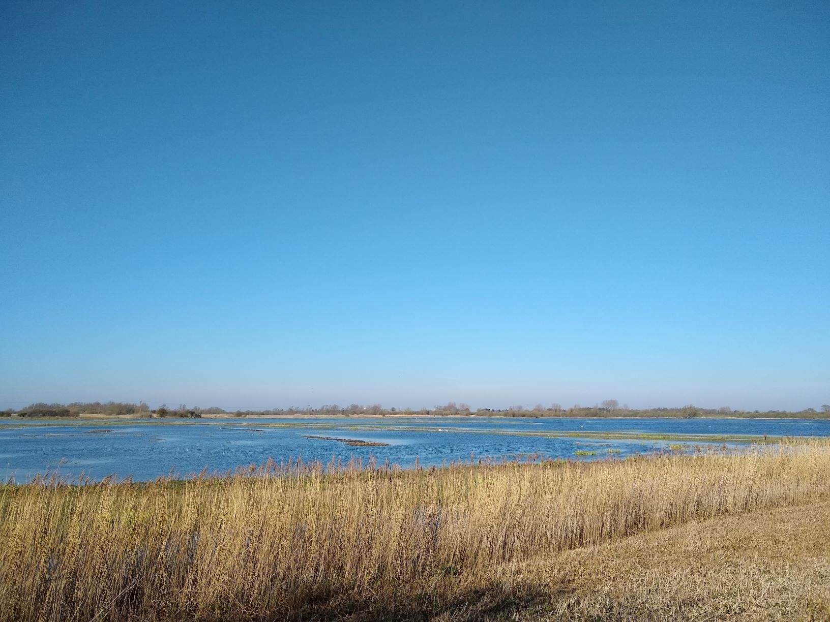 Reedbed hide-scr.jpg