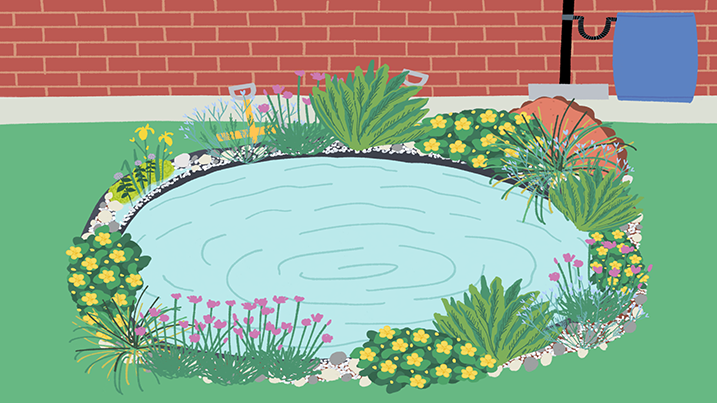 How To Make A Mini Wildlife Pond From, How To Build A Small Garden Pond From Container Uk