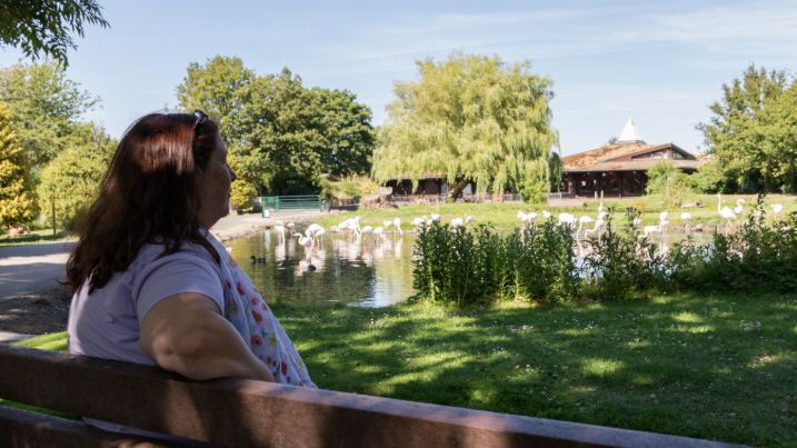 woman sitting on park bench