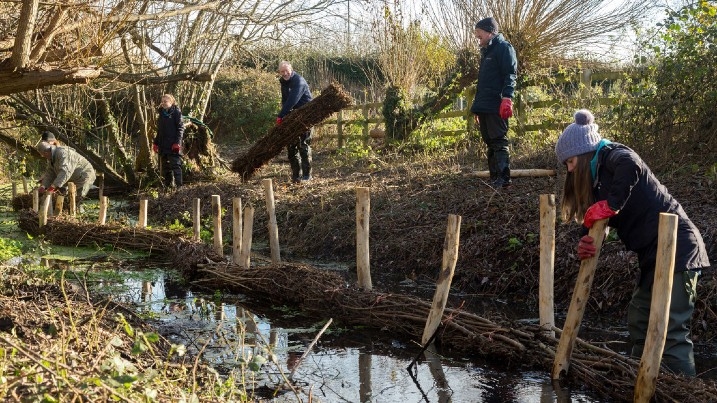 Slough's urban wetlands