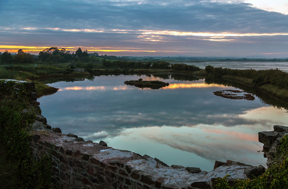 Our response to George Eustice's Green Recovery speech