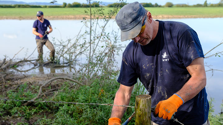 WWT reserve teams at work