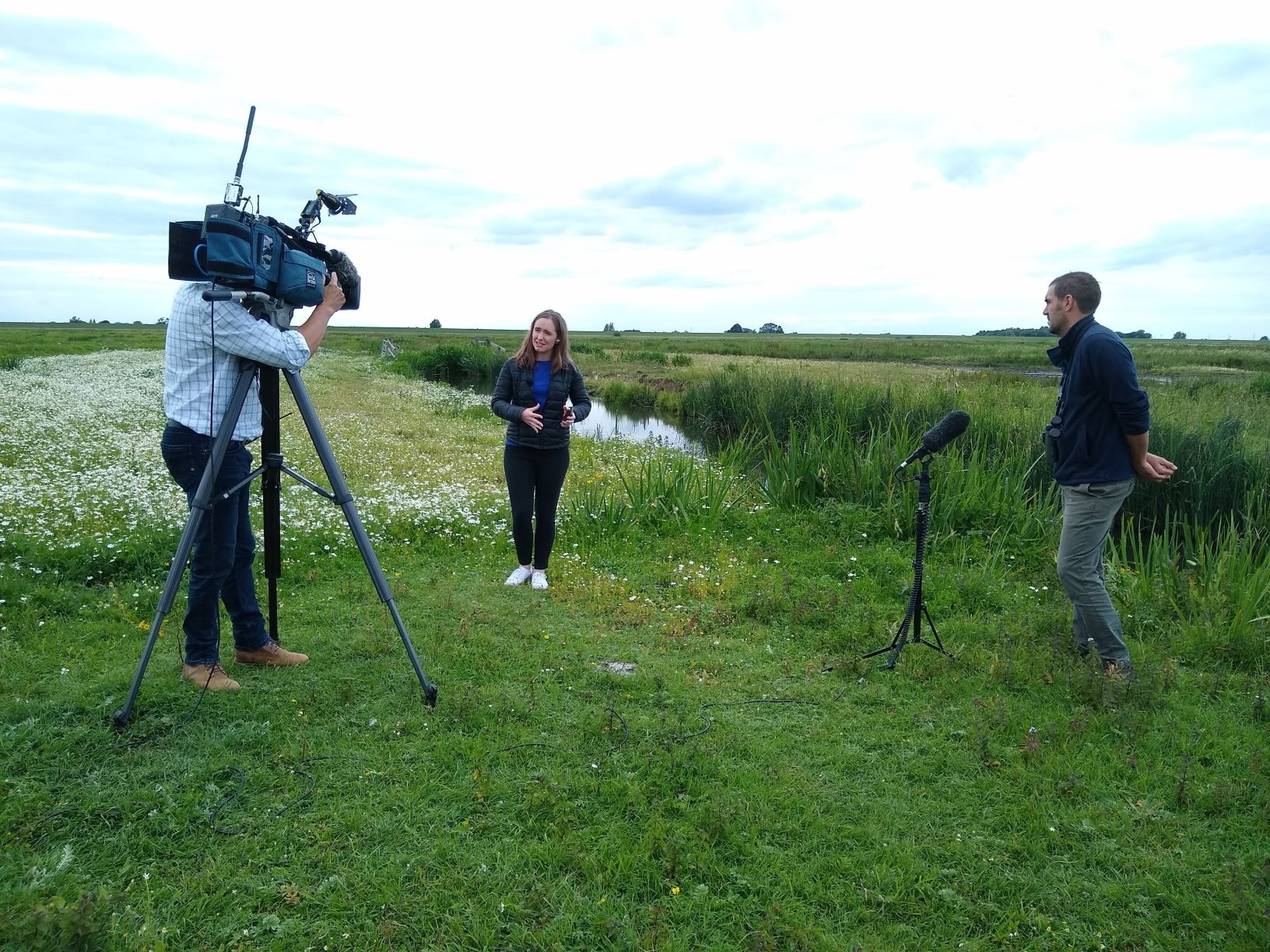 BBC Godwits and reopening3-scr.jpg