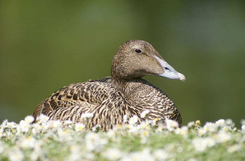 Summer photography tips: how to make the most of the sunshine