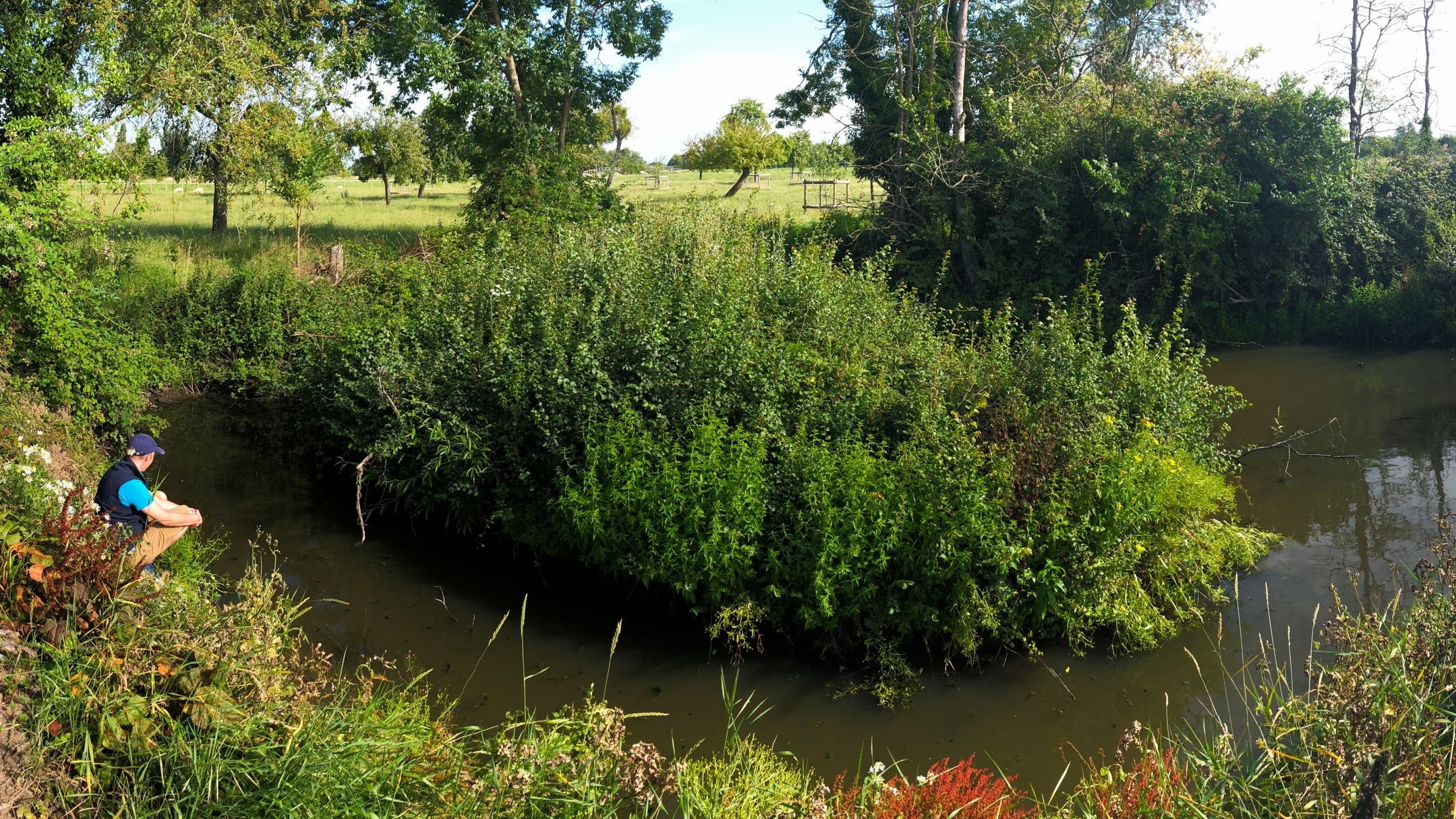 Farmland Ponds in Gloucester