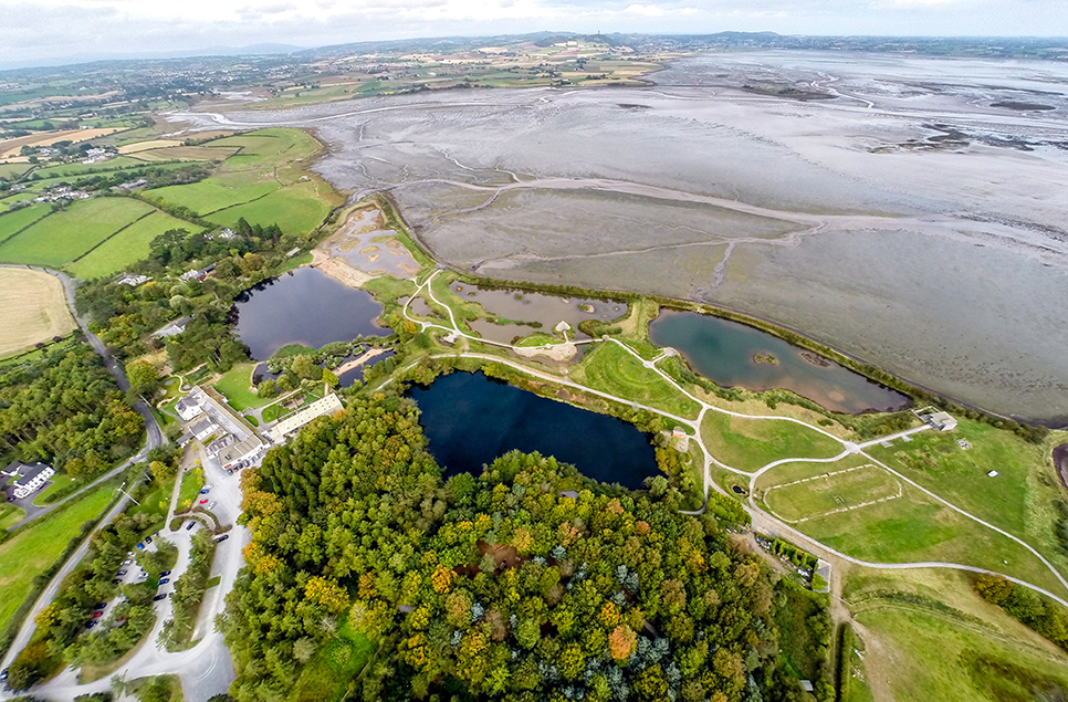 WWT Castle Espie Wetland Centre Reopens Following  Recent Closure