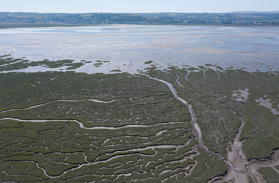 Soundlands Open Call 2019: A Warning on Climate Change and Loss of Wetlands