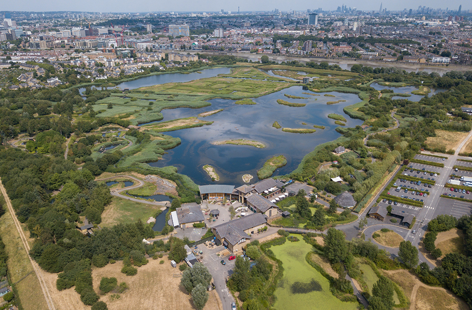 World Wetlands Day 2022