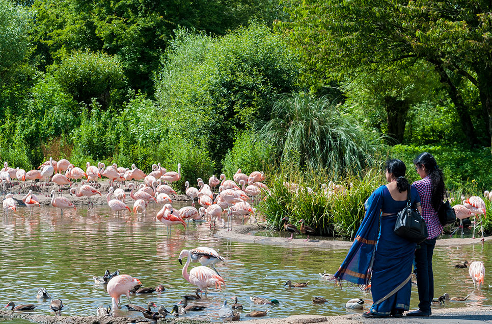 Wetland destinations for your summer staycation