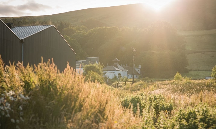 Glengoyne wetlands