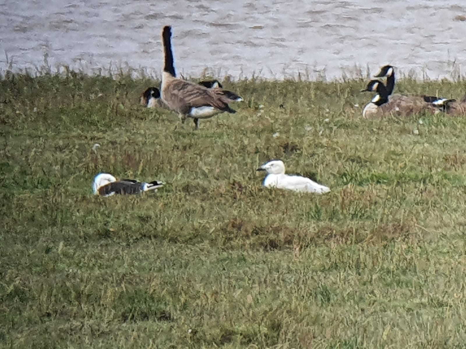 Friday's birding