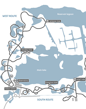 London Wetland Centre Map Wetlands Unravelled | Wwt