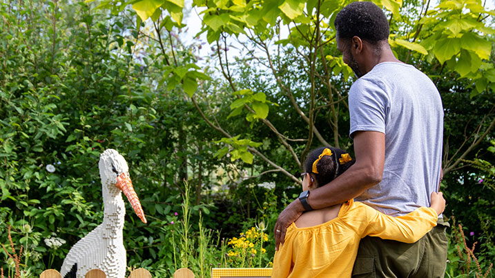 People looking at lego at Arundel wetland centre