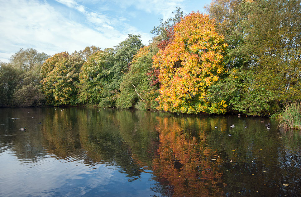 A sanctuary for nature, and for you: explore the UK this autumn