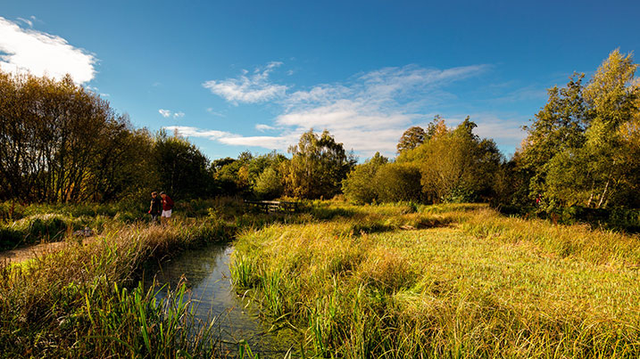 Nature And Our Mental Health An Interview With Jolie Goodman Of The Mental Health Foundation Wwt