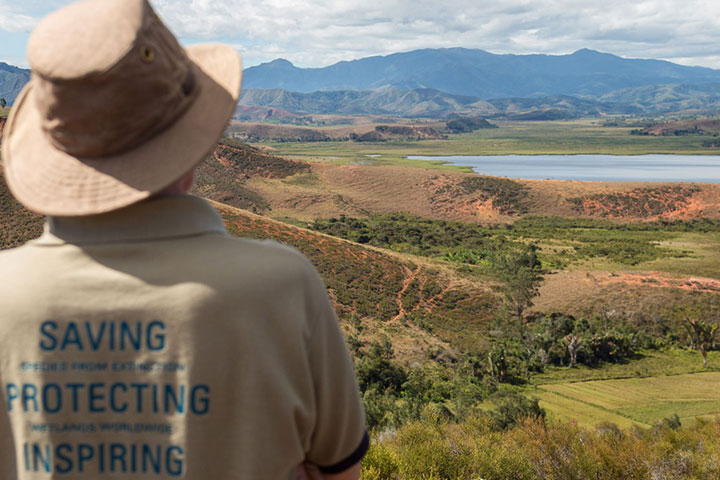 Madagascar's wetlands