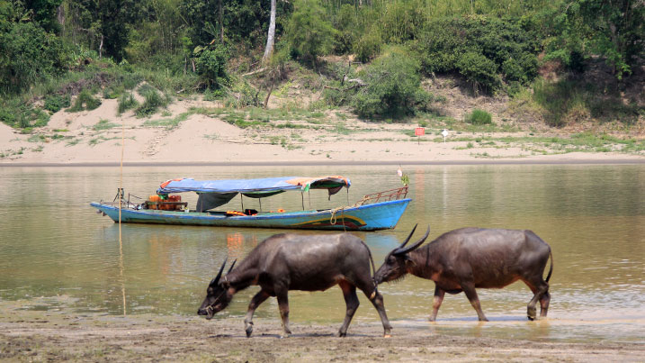 Myanmar wetland conservation