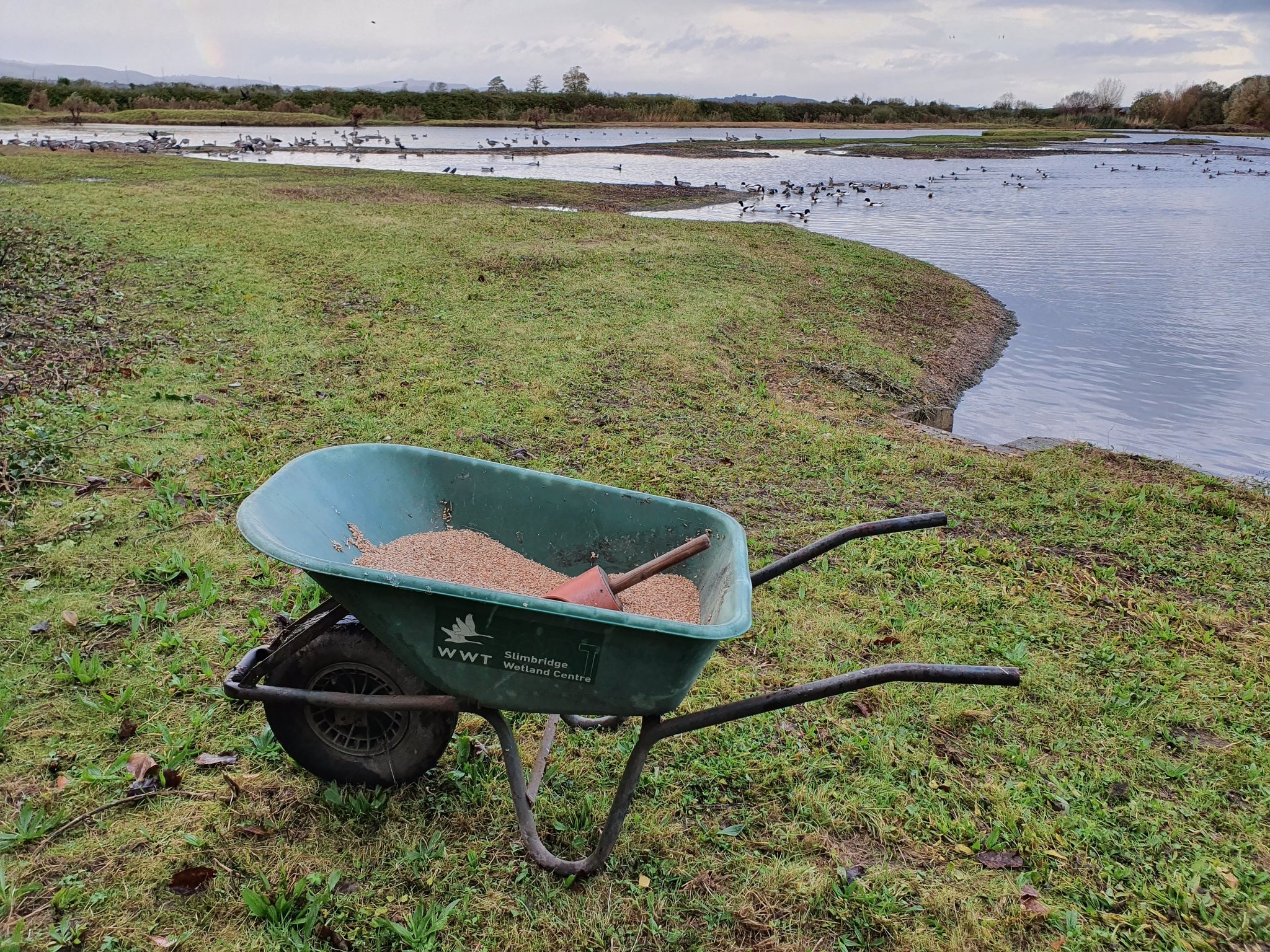 The wheelbarrow is back