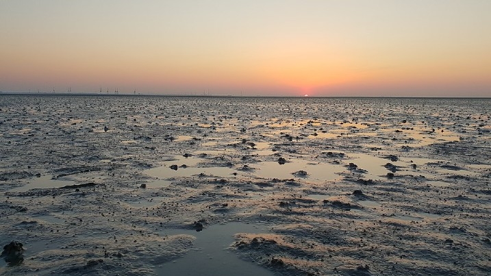 Wadden Sea creative commons