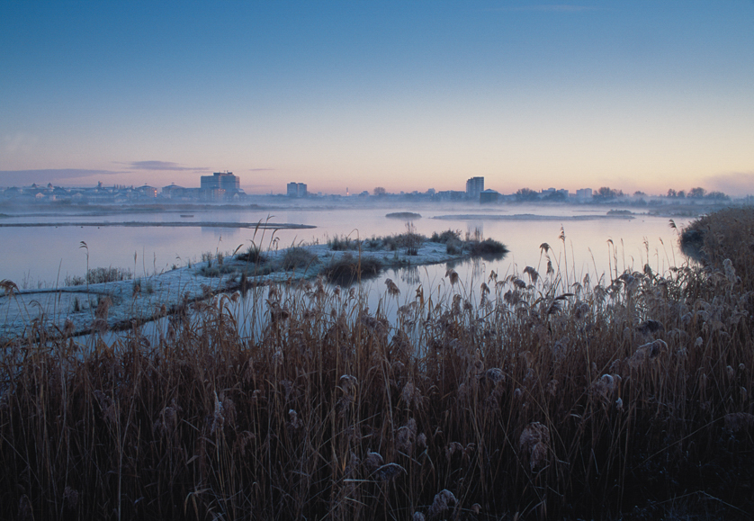 London wetland centre in winter